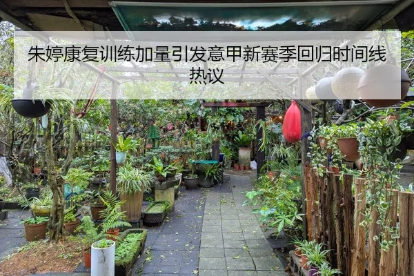 朱婷康复训练加量引发意甲新赛季回归时间线热议